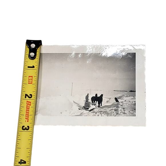 Vtg B&W Photo 1942 Found Horses Working In Snow Pulling Sled Snapshot Lot of 2 - Picture 4 of 6